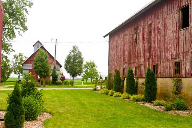 The grounds
