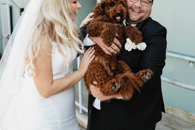 Marina wedding
