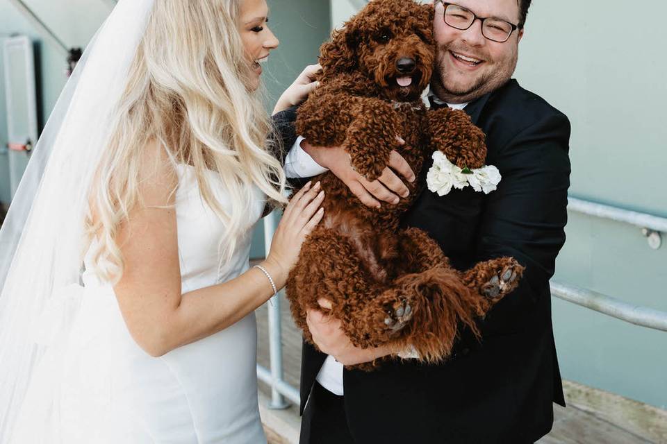 Marina wedding