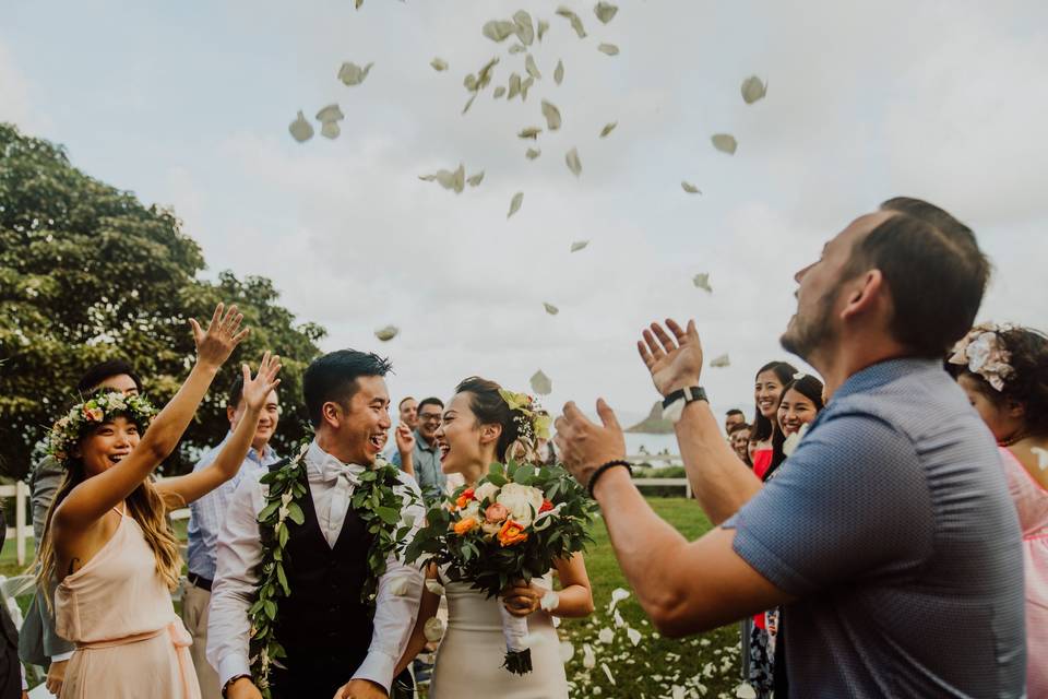 Wedding at Kualoa Ranch