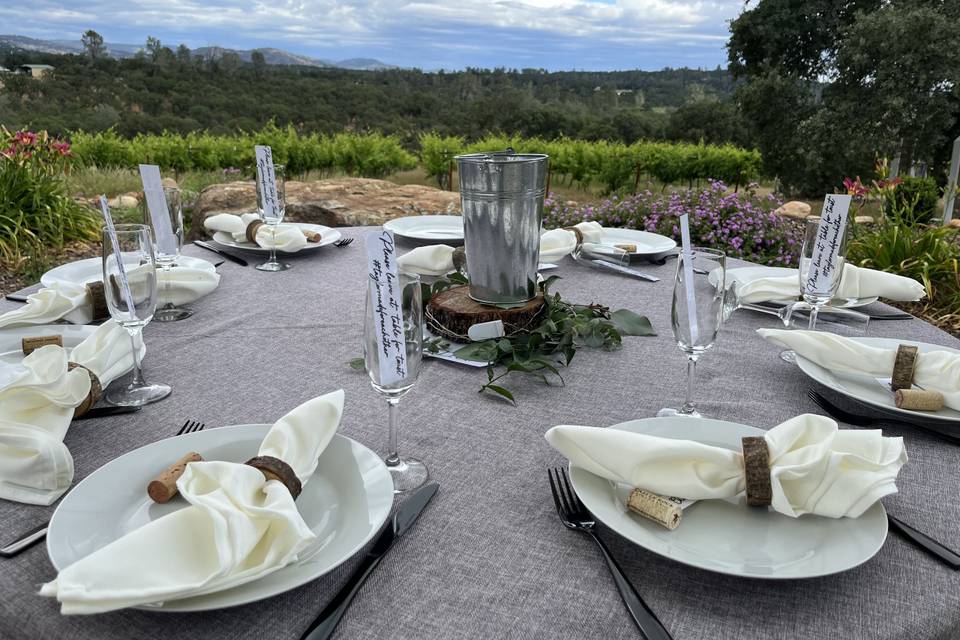 Reception overlooking vineyard