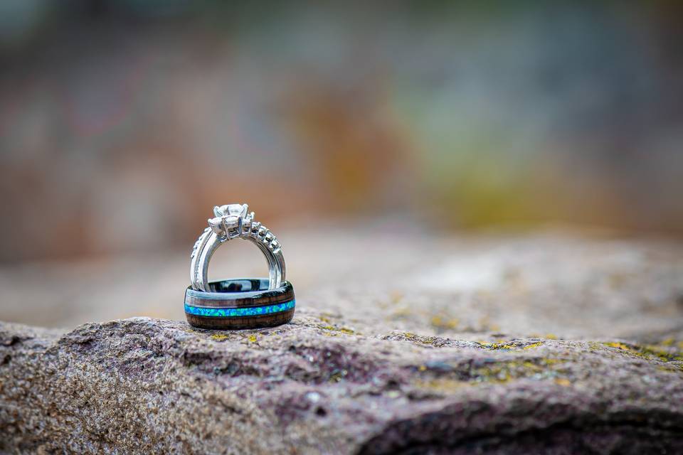 Michael Hamerlind Photography
