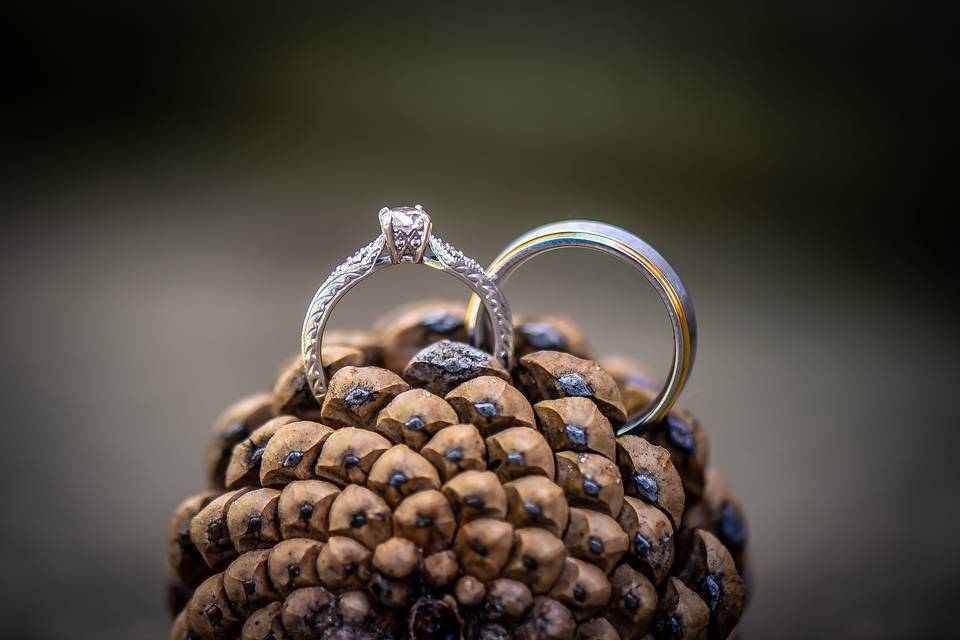 Michael Hamerlind Photography