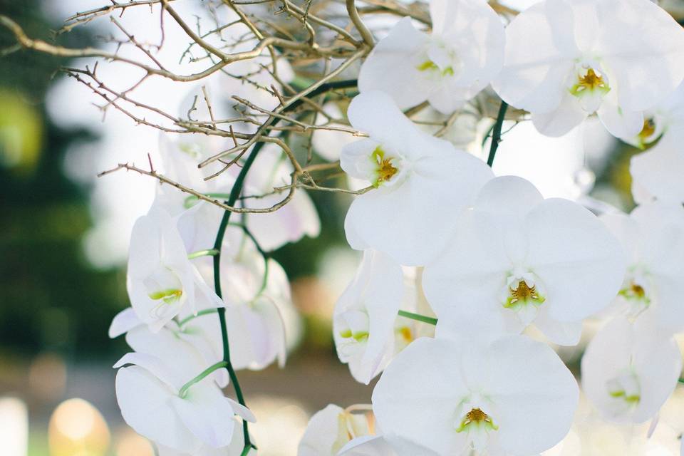 Flower Bar