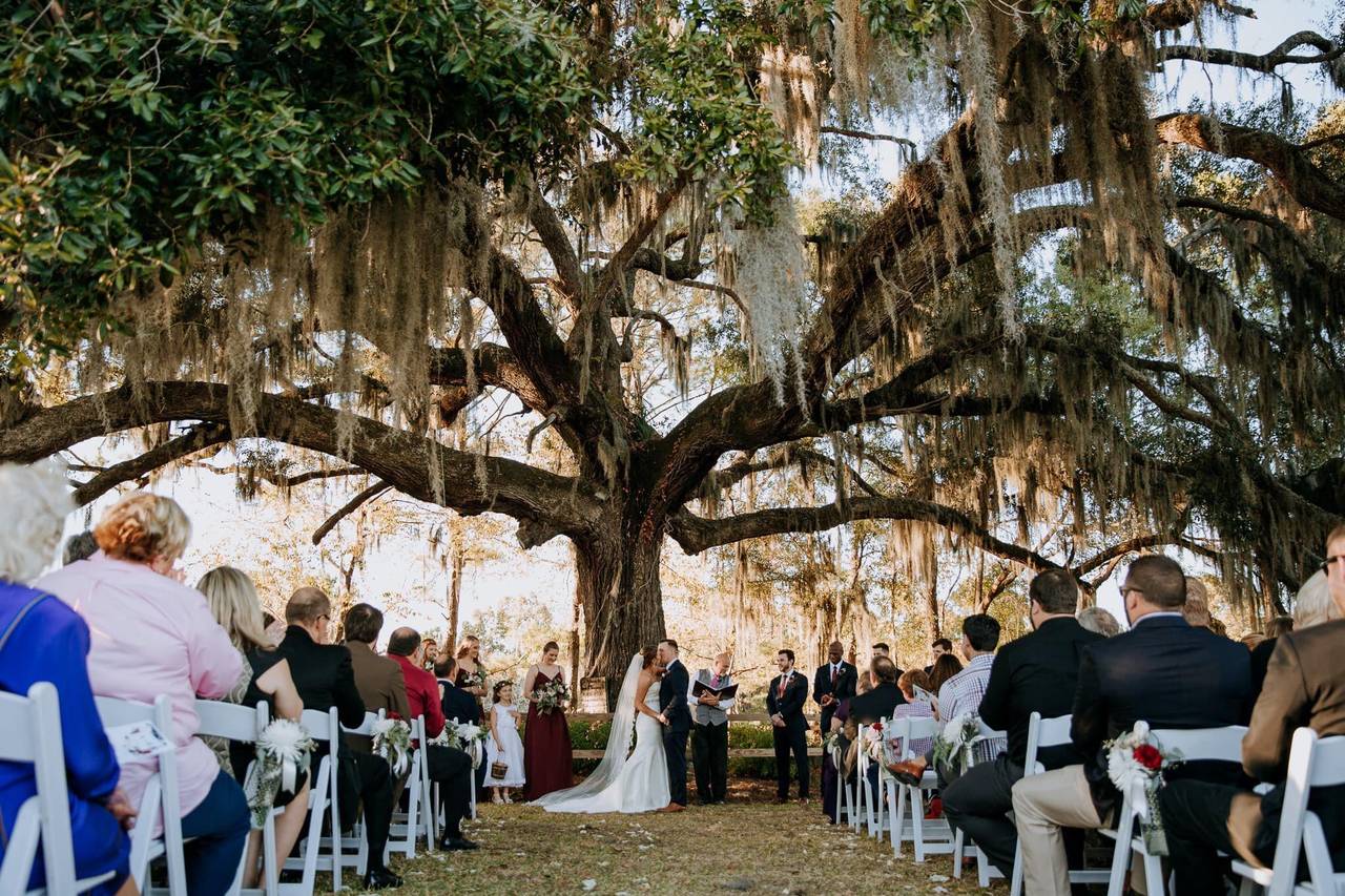 Red Gate Farms - Barn & Farm Weddings - Savannah, GA - WeddingWire