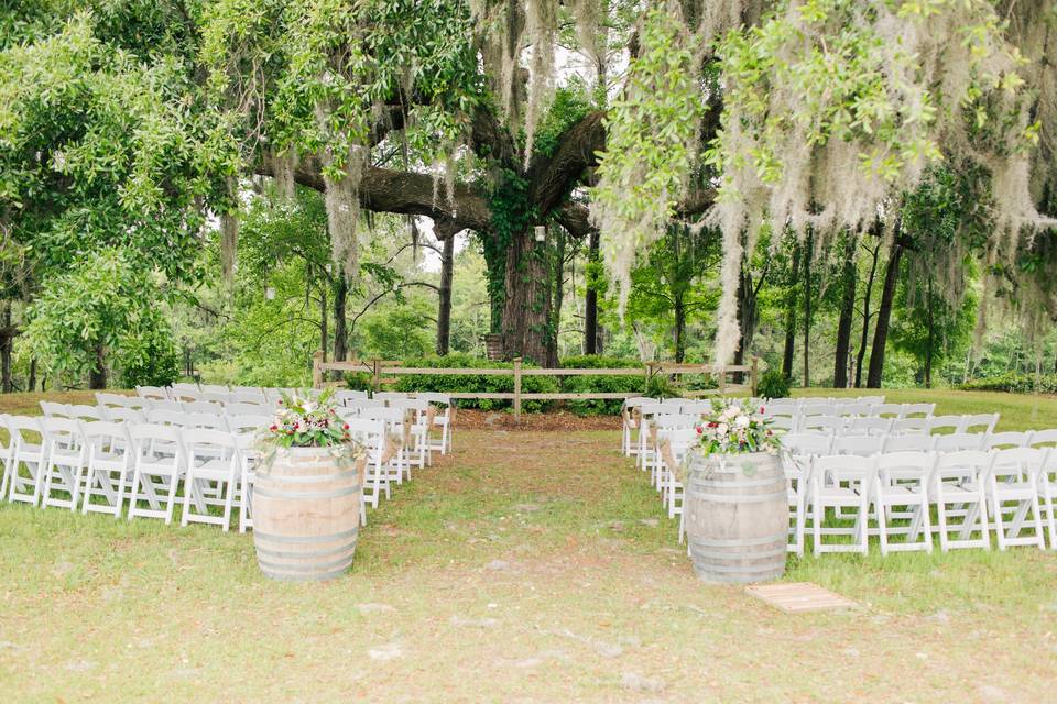 Ceremony at the Tree