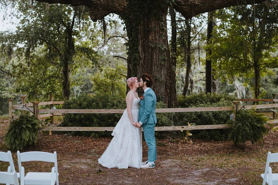 300-year old Live Oak/Grainery