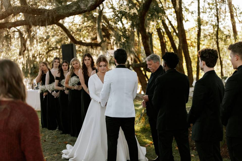 Wedding Party at Stage