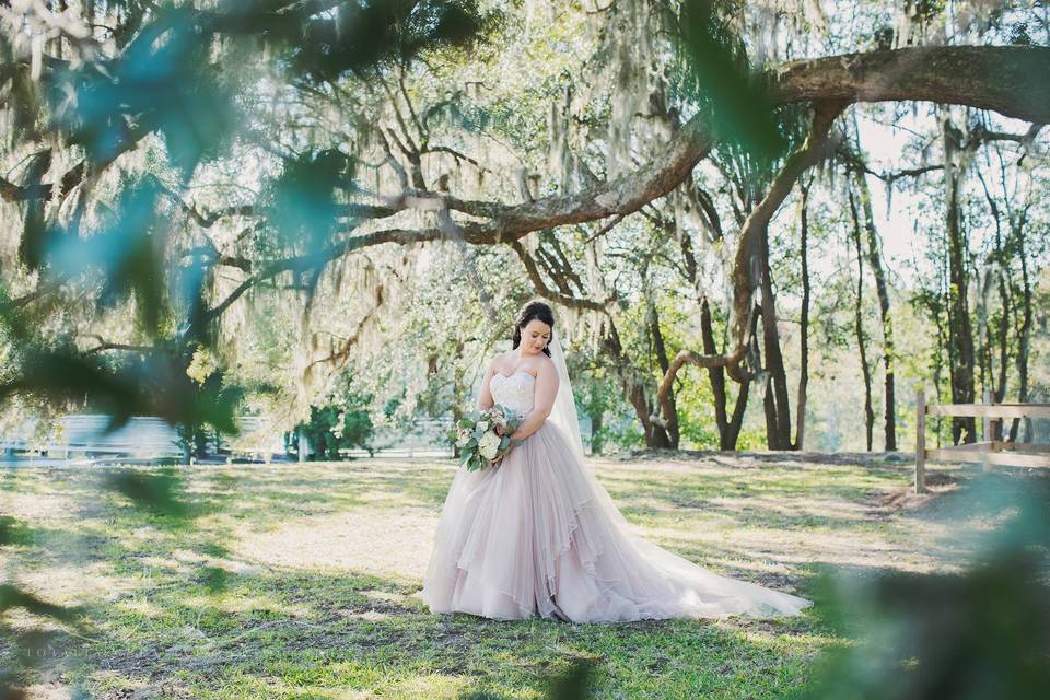 Bride under Oak