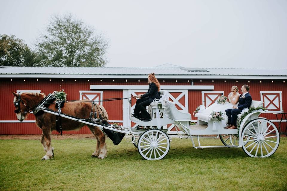 Horse and carriage