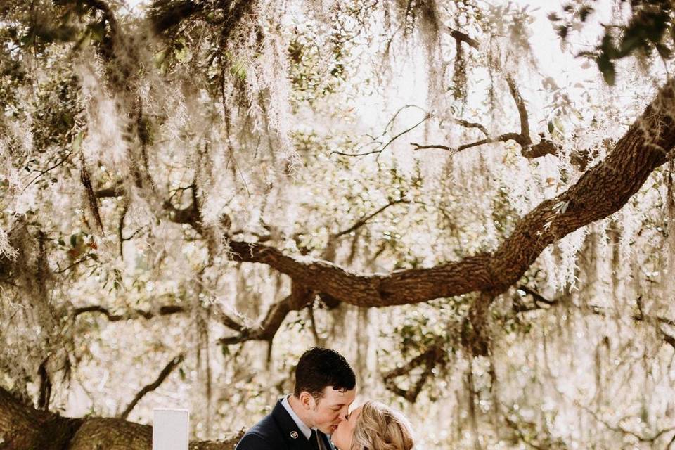 Spanish Moss and live oak