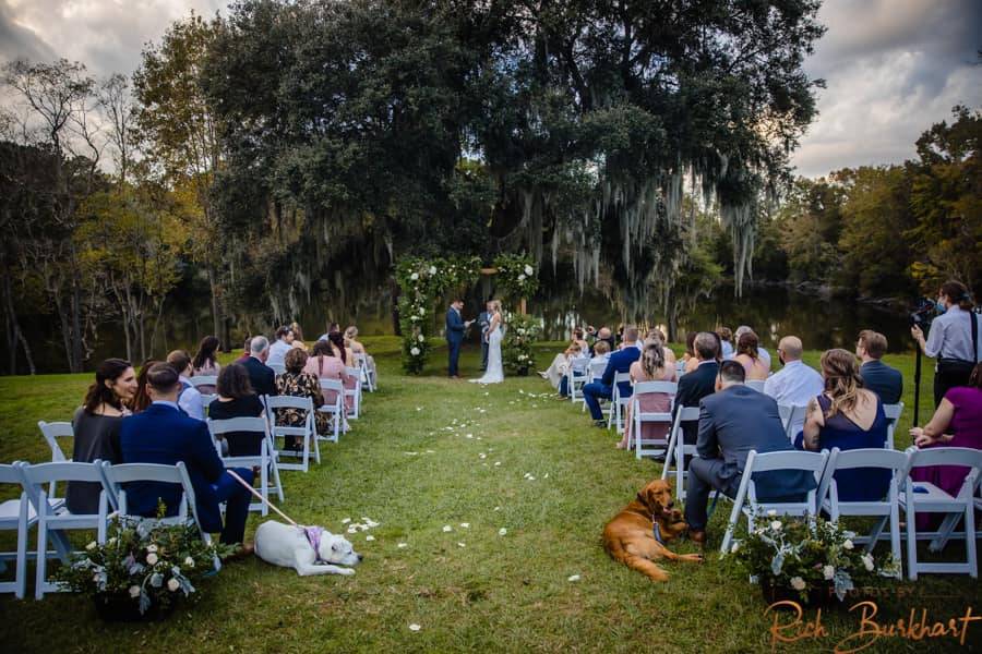 Barn Ceremony with Fur Babies