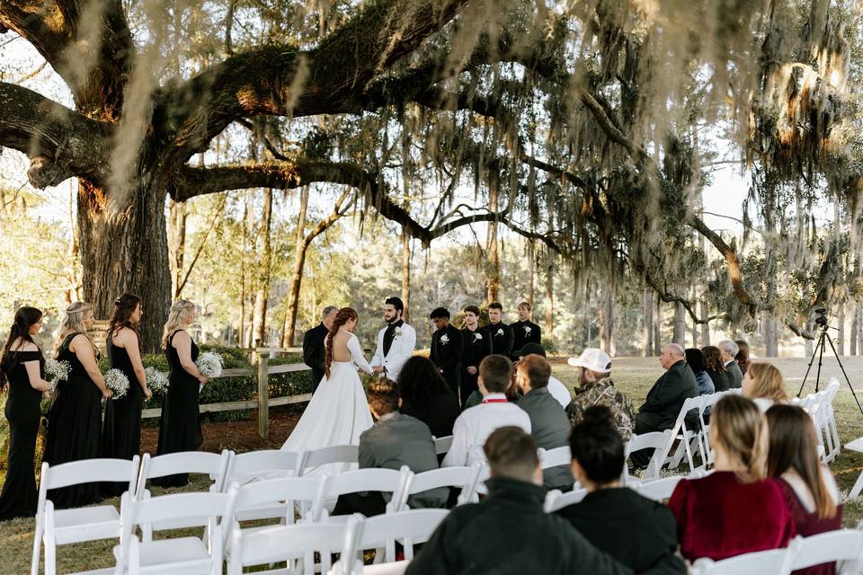 Ceremony Under Tree