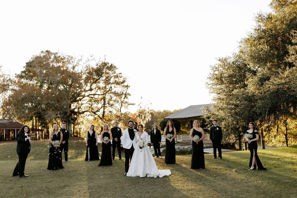 Wedding Party at Stage