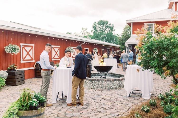 Cocktail in the Courtyard