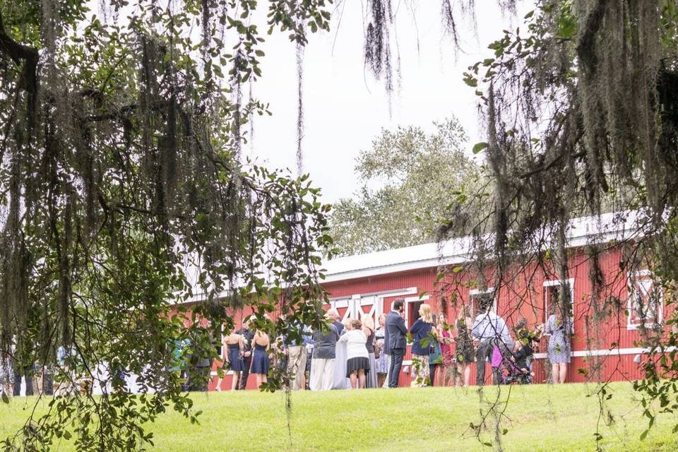 Cocktails behind Barn