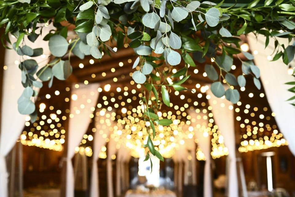 Lights in Barn