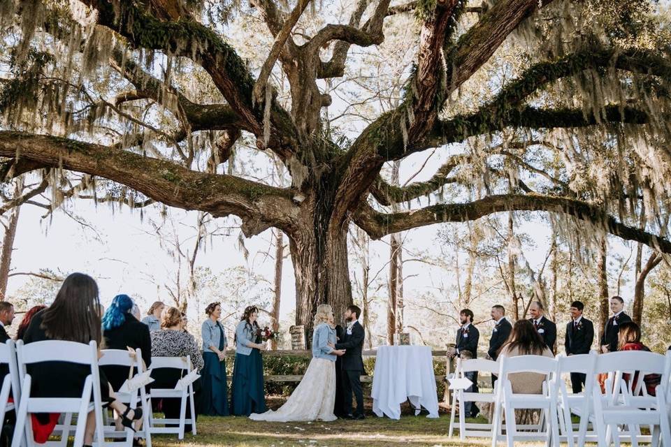 Live Oak The Grainery