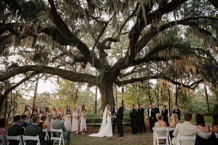 Live Oak at The Grainery