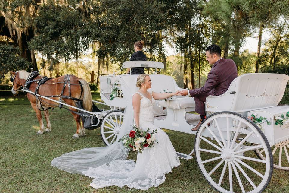 Ceremony at Grainery Tree