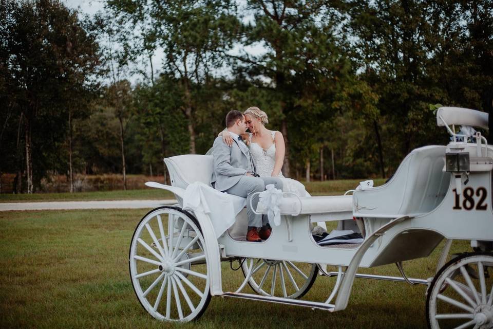 Couple on the carriage