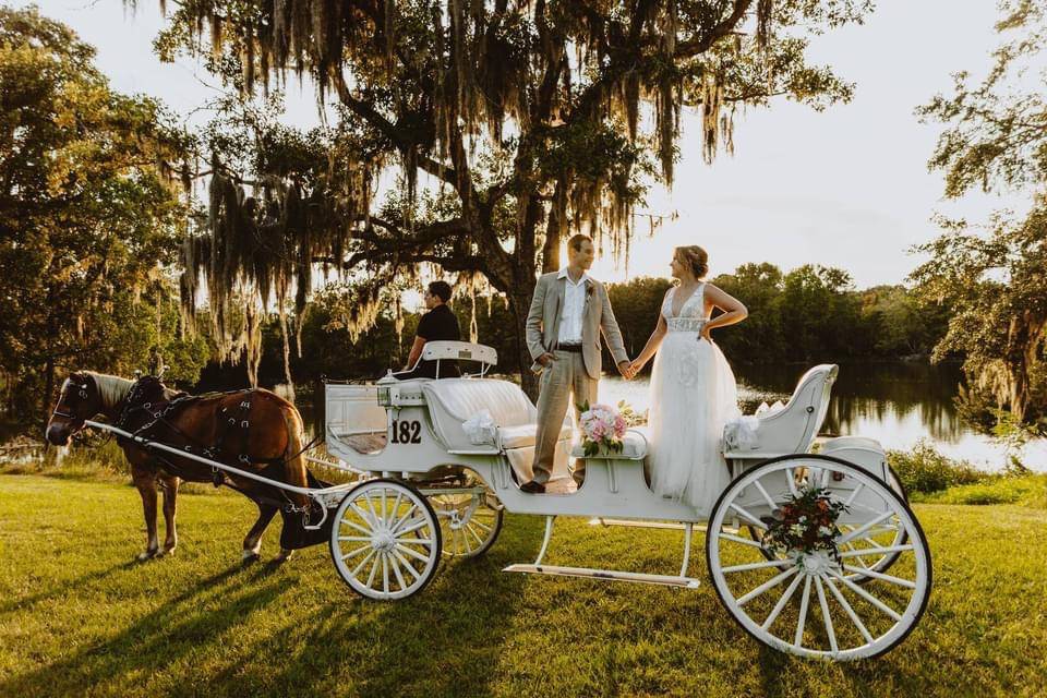 Horse and Carriage