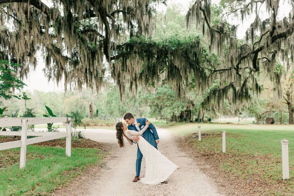 Spanish Moss