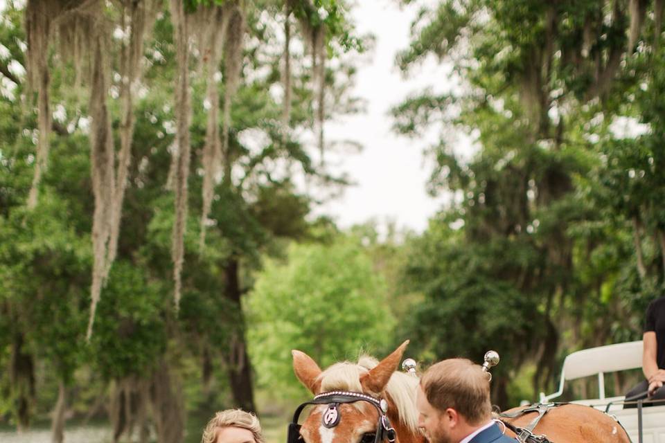 Betsy and Carriage