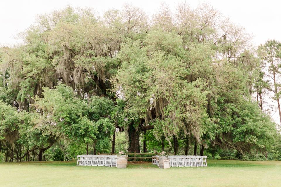 Perfect Ceremony Location