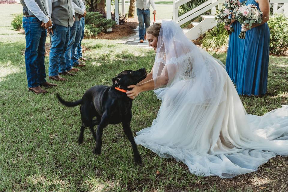 First look bride and dog