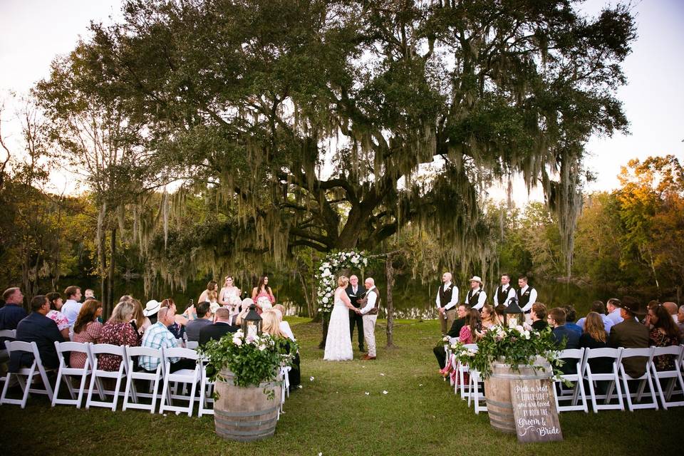 Ceremony Tree at The Barn