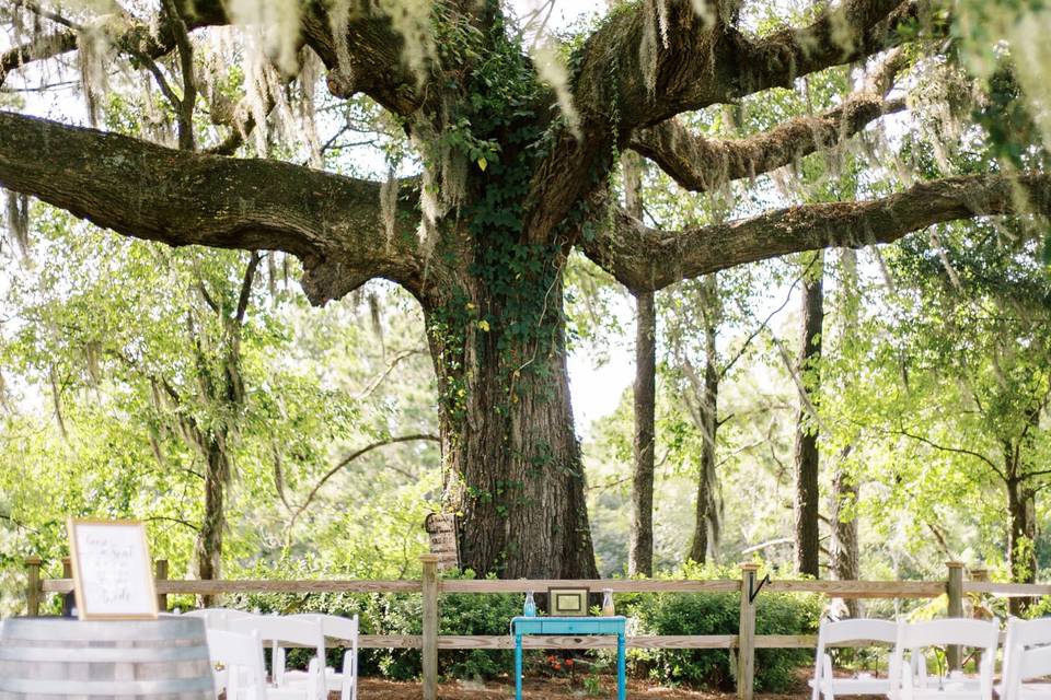 Ceremony Tree Grainery