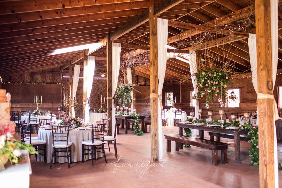 Reception in The Barn