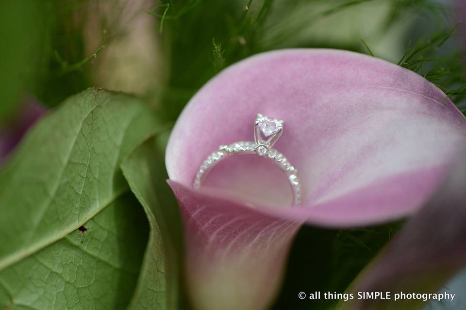 All Things Simple Photography