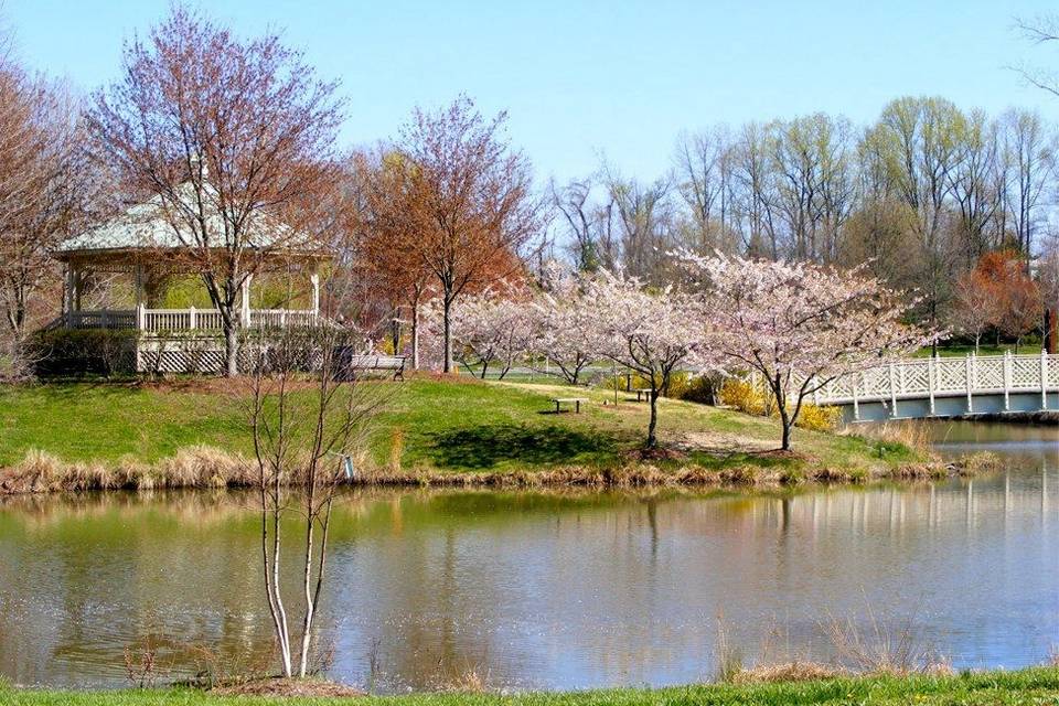 Quiet Waters Park