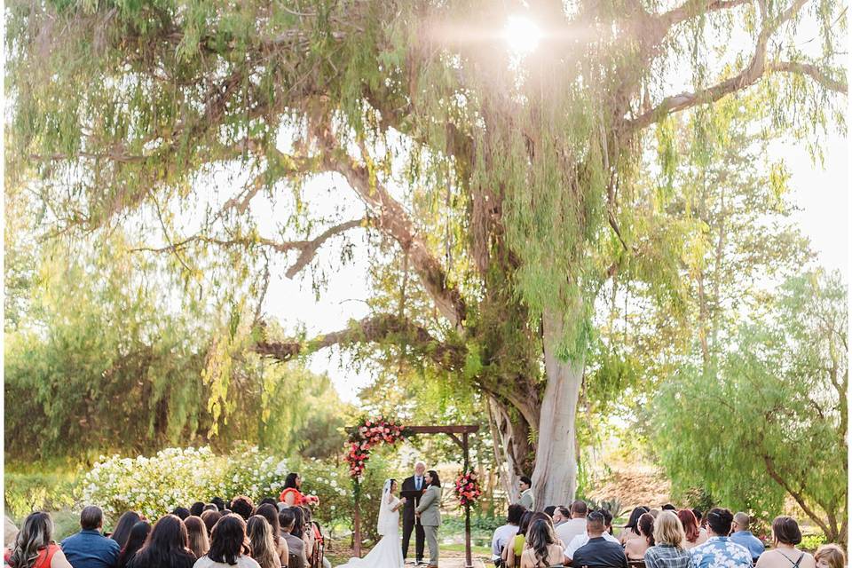 Galway downs in Temecula