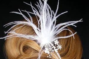 Star Professional Hair Services (SPHS)