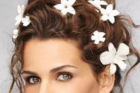Star Professional Hair Services (SPHS)