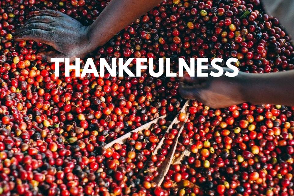 Gratitude for coffee origins