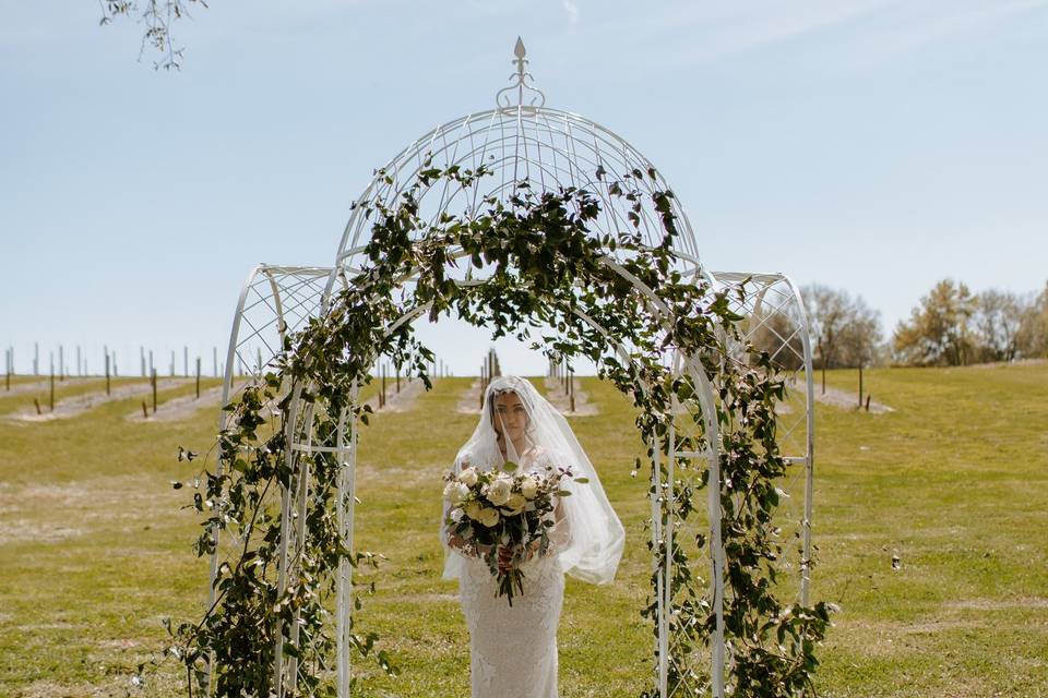 Vineyard Gazebo (Vogue)