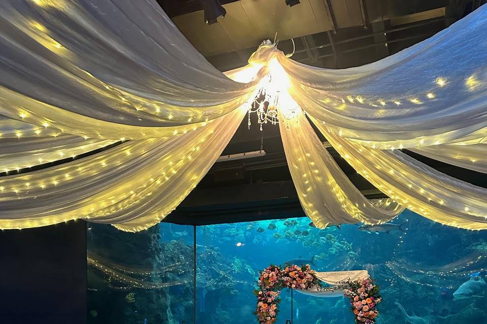 Aquarium Wedding Ceremony