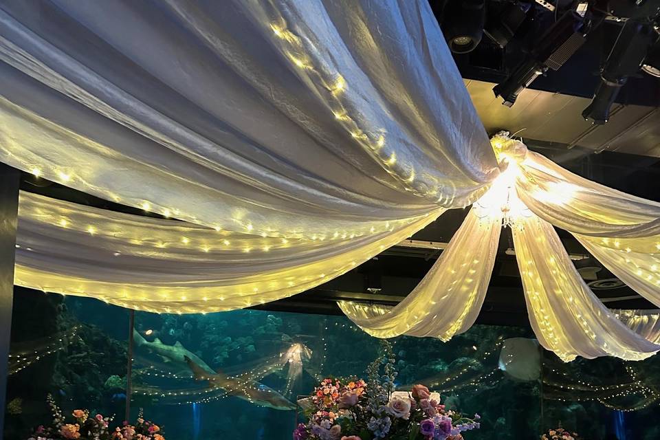 Florida Aquarium Wedding