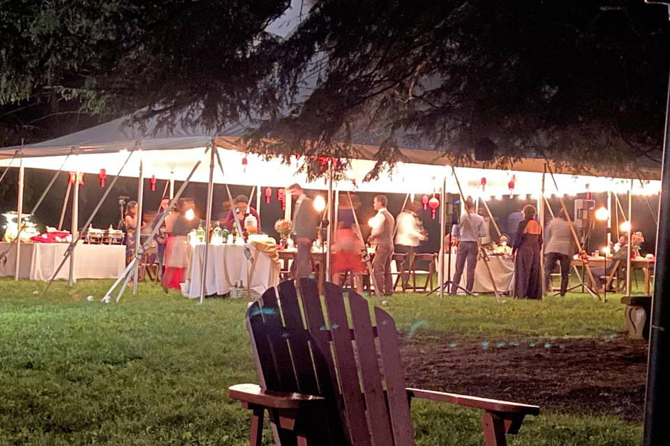 Backyard night wedding