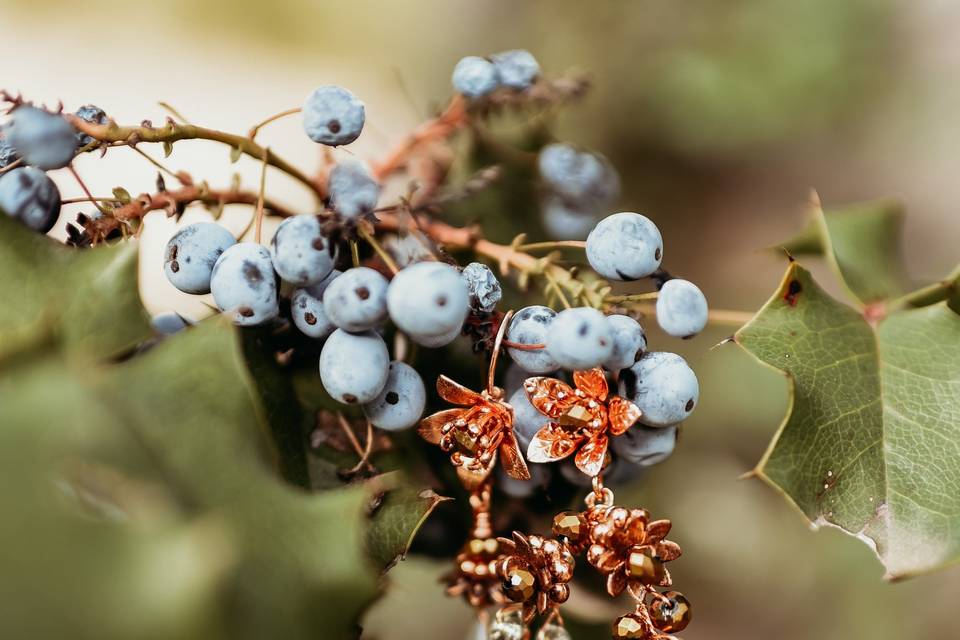Berries and leaves - Whispering Daisy Photography