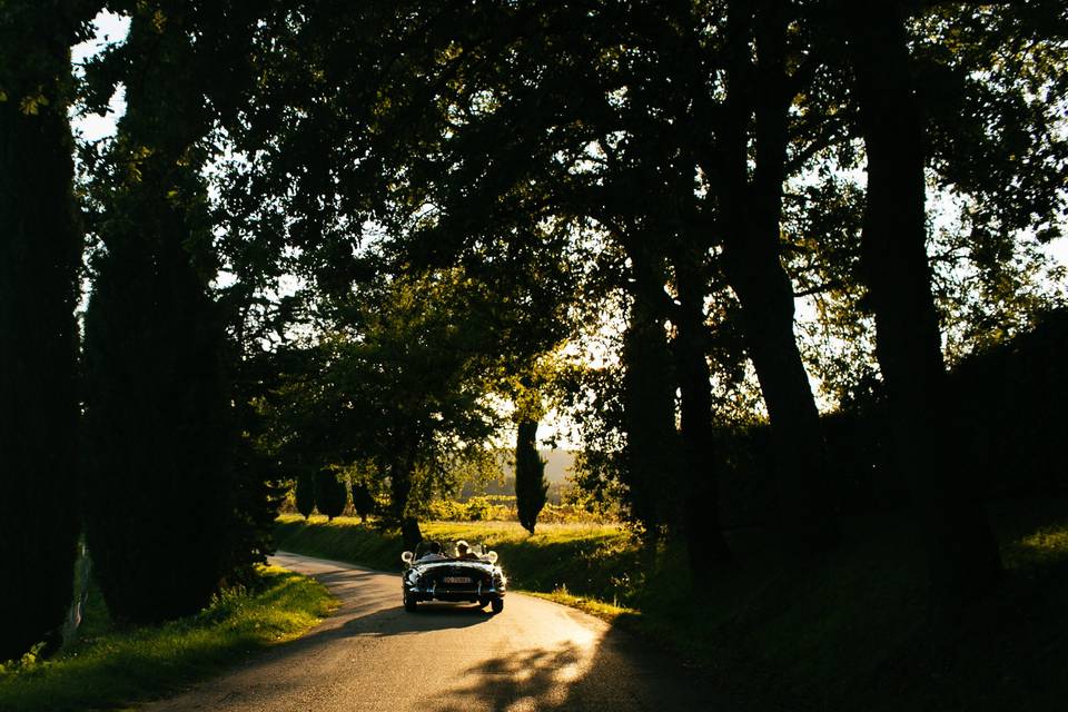 Con Amore, Weddings in Tuscany - Hochzeiten in der Toskana - Bruiloften in Toscane