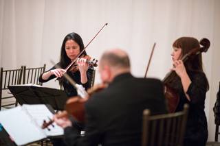 Tribute String Quartet