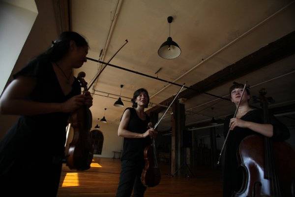 Tribute String Quartet