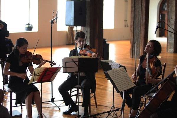 Tribute String Quartet