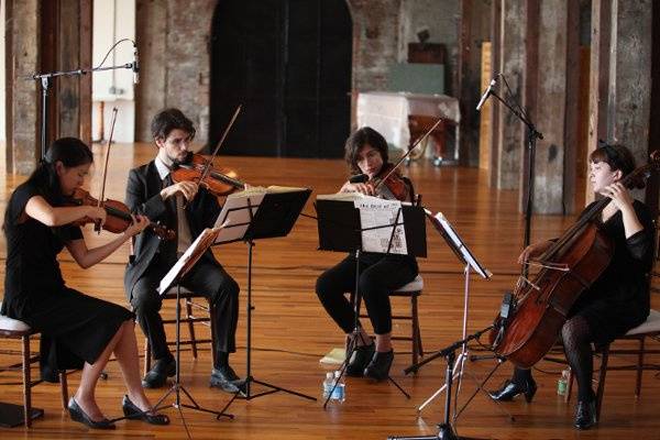 Tribute String Quartet