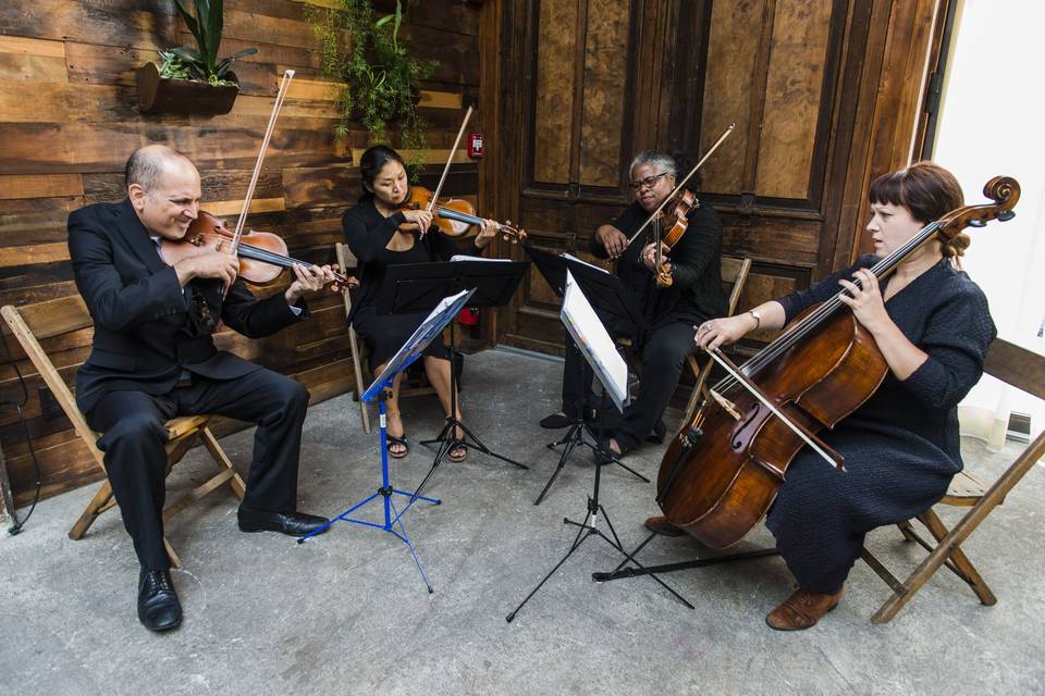 Tribute String Quartet